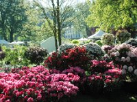 DSC 0012