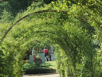 DSC 0082