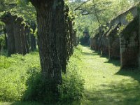 DSC 0123