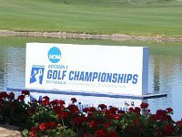 193156695 774963019886910 6225645257801815363 n